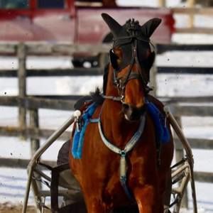 Meet your Posher, Ronda